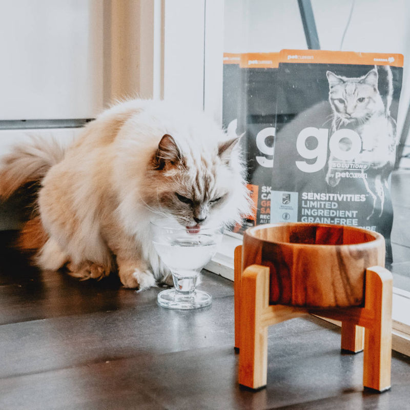 Fornitura alimenti Gatti Vigevano