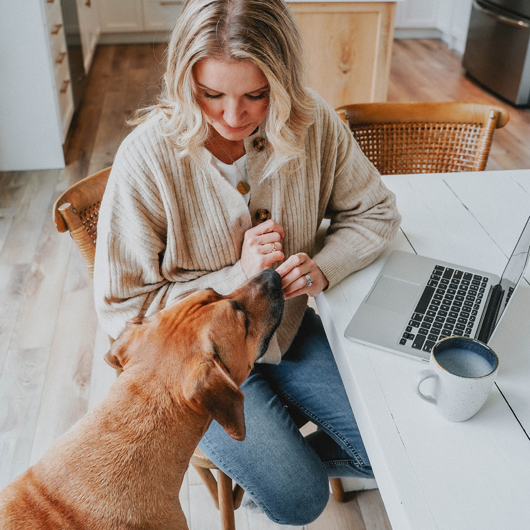 Preventivo fornitura per Guinzagli Cani 